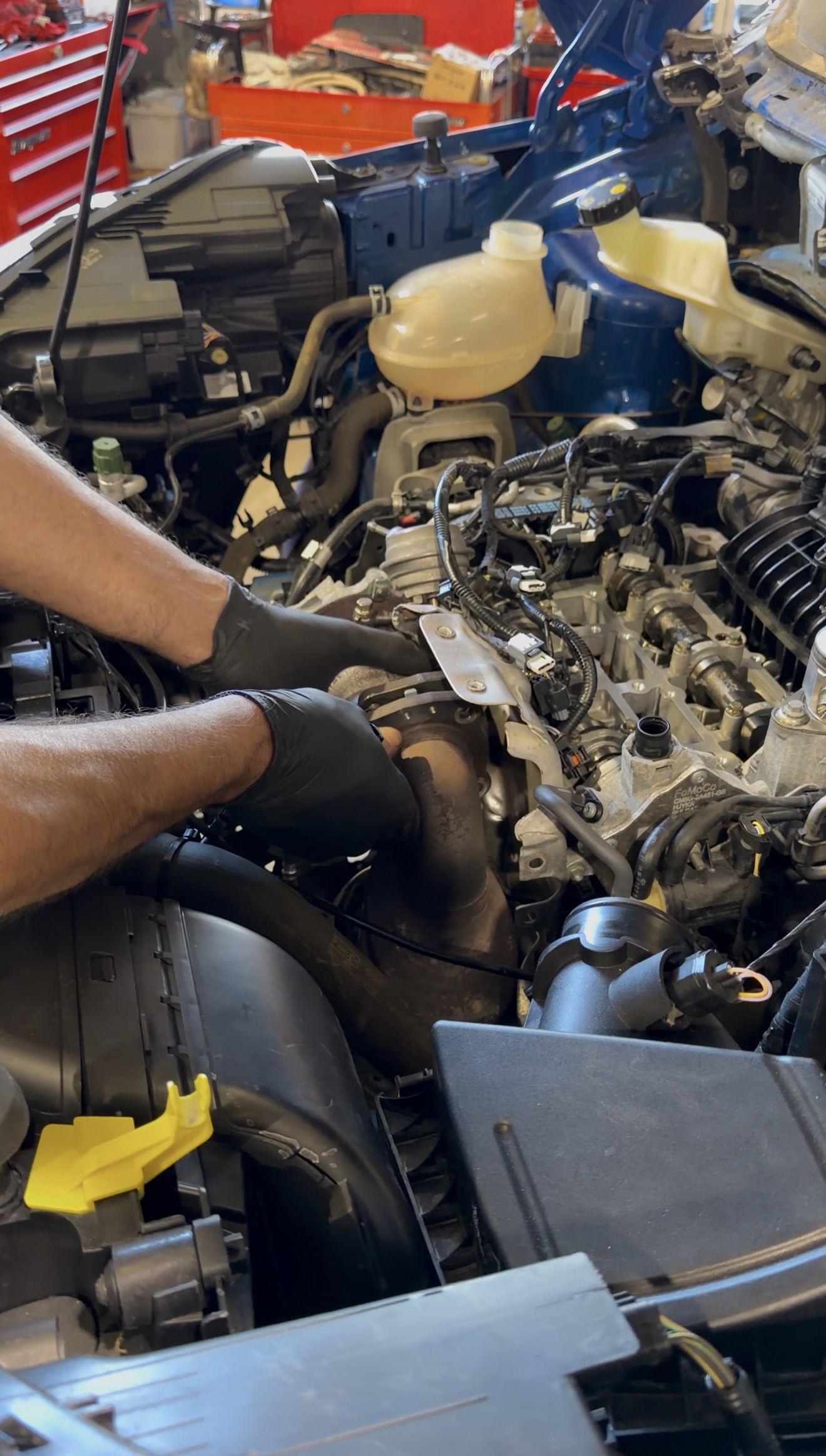 Ford EcoBlue engine during wet belt inspection