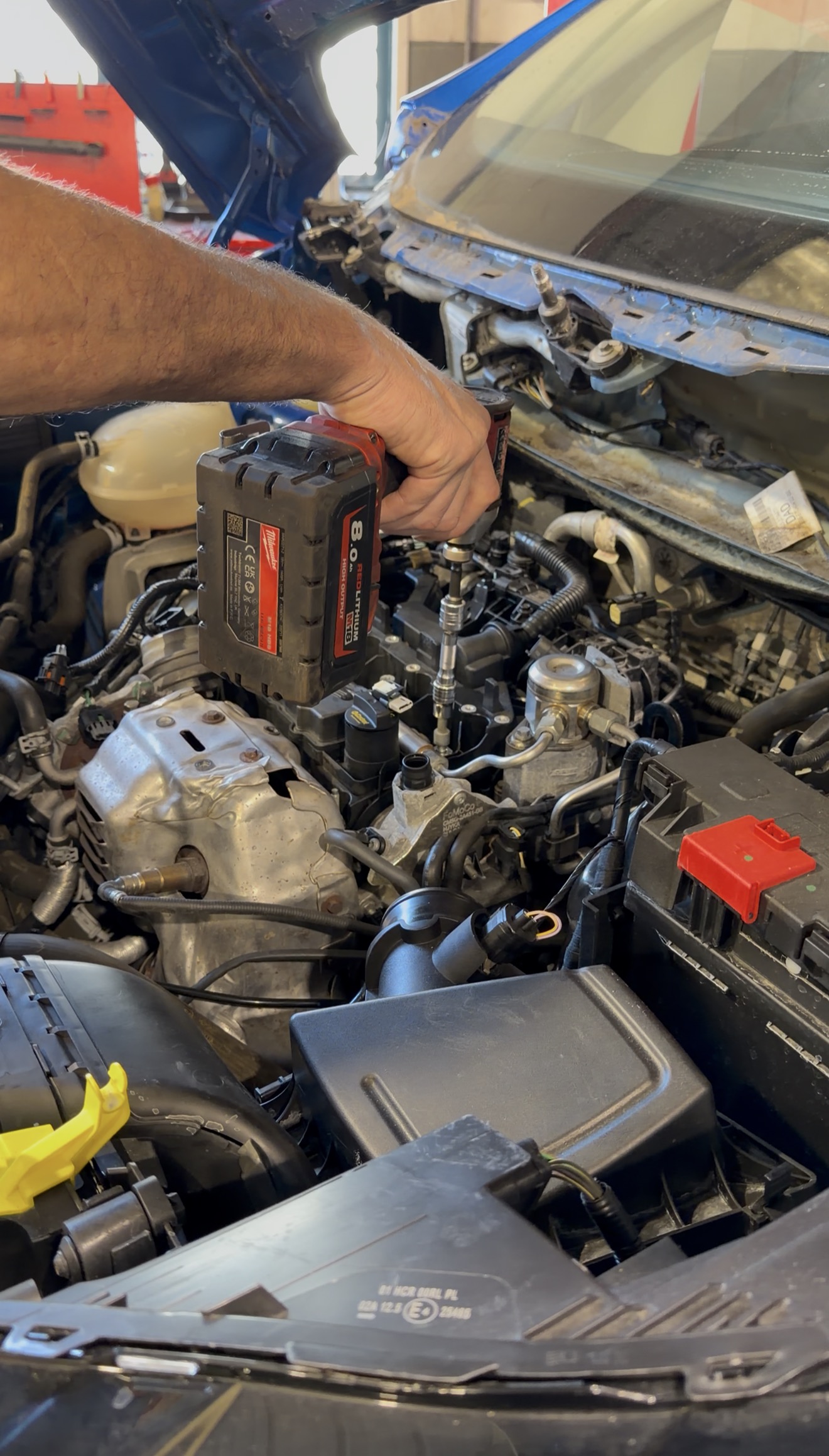 Ford EcoBlue wet belt replacement at NMD Automotive Whitstable